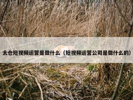 太仓短视频运营是做什么（短视频运营公司是做什么的）