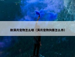 刚满月宠物怎么喂（满月宠物狗要怎么养）