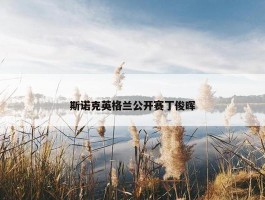 斯诺克英格兰公开赛丁俊晖