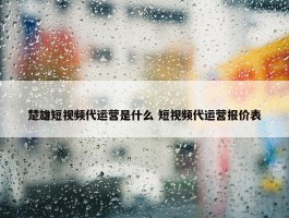 楚雄短视频代运营是什么 短视频代运营报价表