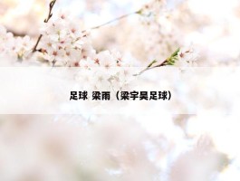 足球 梁雨（梁宇昊足球）