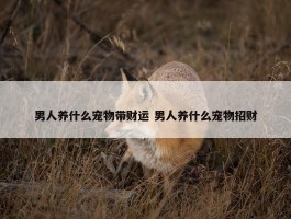 男人养什么宠物带财运 男人养什么宠物招财