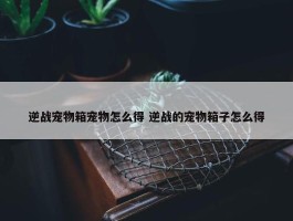 逆战宠物箱宠物怎么得 逆战的宠物箱子怎么得