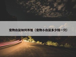 宠物白鼠如何养殖（宠物小白鼠多少钱一只）