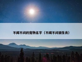 不闻不问的宠物名字（不闻不问猜生肖）