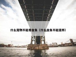 什么宠物不能养金鱼（什么金鱼不能混养）