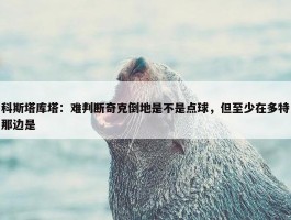 科斯塔库塔：难判断奇克倒地是不是点球，但至少在多特那边是