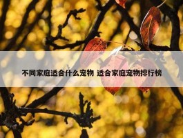 不同家庭适合什么宠物 适合家庭宠物排行榜