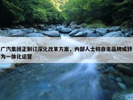 广汽集团正制订深化改革方案，内部人士称自主品牌或转为一体化运营