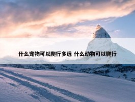 什么宠物可以爬行多远 什么动物可以爬行