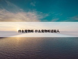 什么宠物听 什么宠物听话粘人