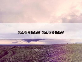 怎么查宠物轨迹 怎么查宠物快递