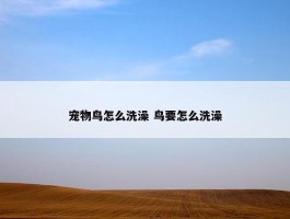 宠物鸟怎么洗澡 鸟要怎么洗澡