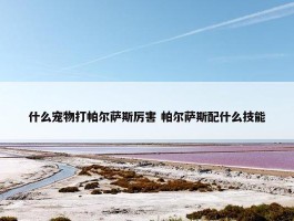 什么宠物打帕尔萨斯厉害 帕尔萨斯配什么技能