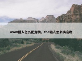 wow猎人怎么把宠物，tbc猎人怎么换宠物