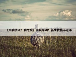 《饿狼传说：狼之城》游民采访：新生代格斗老手