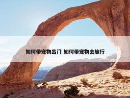 如何带宠物出门 如何带宠物去旅行