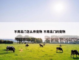 不用出门怎么养宠物 不用出门的宠物