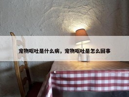 宠物呕吐是什么病，宠物呕吐是怎么回事