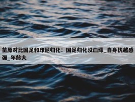 苗原对比国足和印尼归化：国足归化没血缘_自身优越感强_年龄大