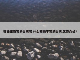 哪些宠物容易生病呢 什么宠物不容易生病,又寿命长?