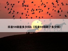 抖音59级是多少抖b（抖音59级刷了多少钱）