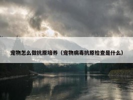 宠物怎么做抗原培养（宠物病毒抗原检查是什么）