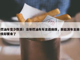 燃油车变少数派！没等燃油车车主遇麻烦，新能源车主麻烦却要来了