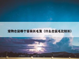 宠物仓鼠哪个容易长毛发（什么仓鼠毛比较长）