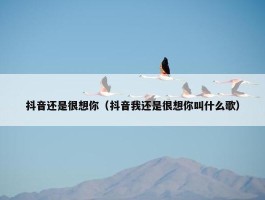 抖音还是很想你（抖音我还是很想你叫什么歌）