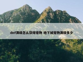 dnf满级怎么获得宠物 地下城宠物满级多少