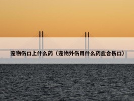 宠物伤口上什么药（宠物外伤用什么药愈合伤口）