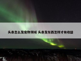 头条怎么发宠物领域 头条发东西怎样才有收益