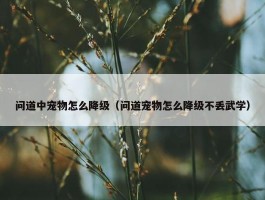 问道中宠物怎么降级（问道宠物怎么降级不丢武学）