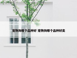 宠物狗哪个品种好 宠物狗哪个品种好卖