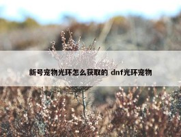 新号宠物光环怎么获取的 dnf光环宠物