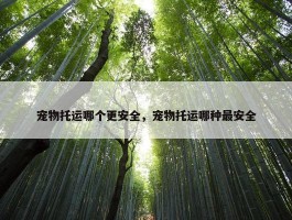 宠物托运哪个更安全，宠物托运哪种最安全