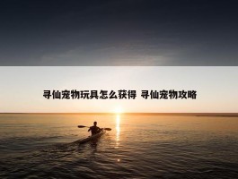 寻仙宠物玩具怎么获得 寻仙宠物攻略