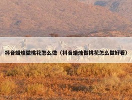 抖音蜡烛做桃花怎么做（抖音蜡烛做桃花怎么做好看）