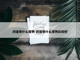 问道带什么宠物 问道带什么宠物比较好