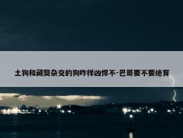 土狗和藏獒杂交的狗咋样凶悍不-巴哥要不要绝育