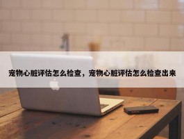 宠物心脏评估怎么检查，宠物心脏评估怎么检查出来