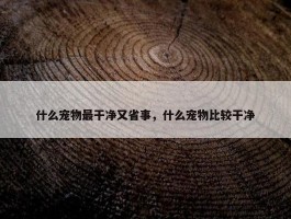 什么宠物最干净又省事，什么宠物比较干净