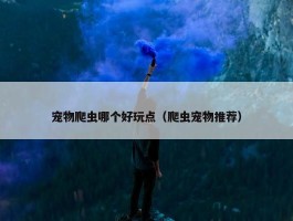 宠物爬虫哪个好玩点（爬虫宠物推荐）