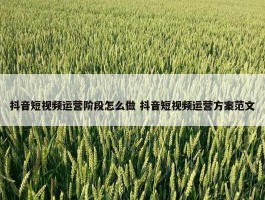 抖音短视频运营阶段怎么做 抖音短视频运营方案范文