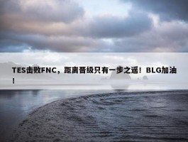 TES击败FNC，距离晋级只有一步之遥！BLG加油！