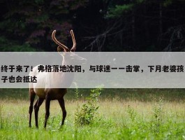 终于来了！弗格落地沈阳，与球迷一一击掌，下月老婆孩子也会抵达