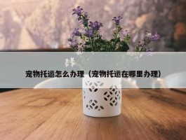 宠物托运怎么办理（宠物托运在哪里办理）