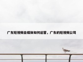 广东短视频自媒体如何运营，广东的短视频公司