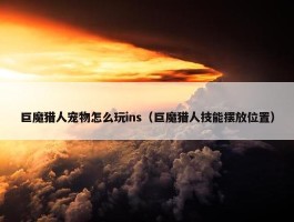 巨魔猎人宠物怎么玩ins（巨魔猎人技能摆放位置）